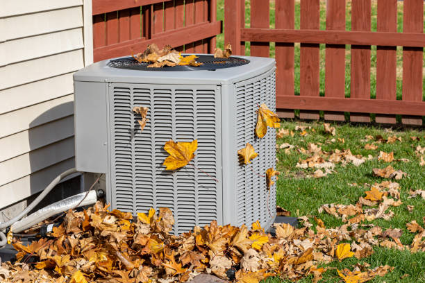 Best HVAC tune-up services  in Burien, WA